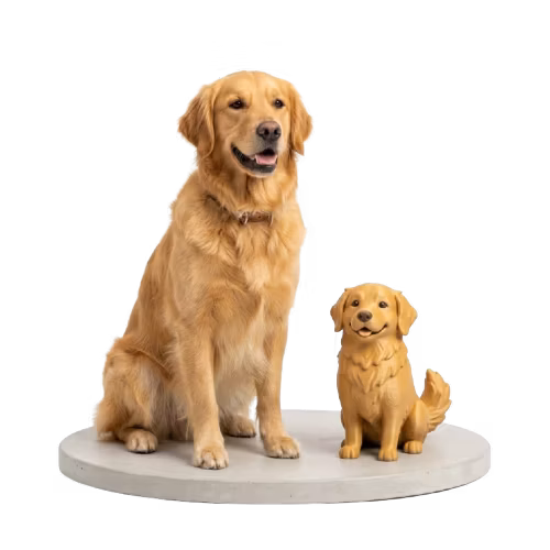 My Pet to Figurine